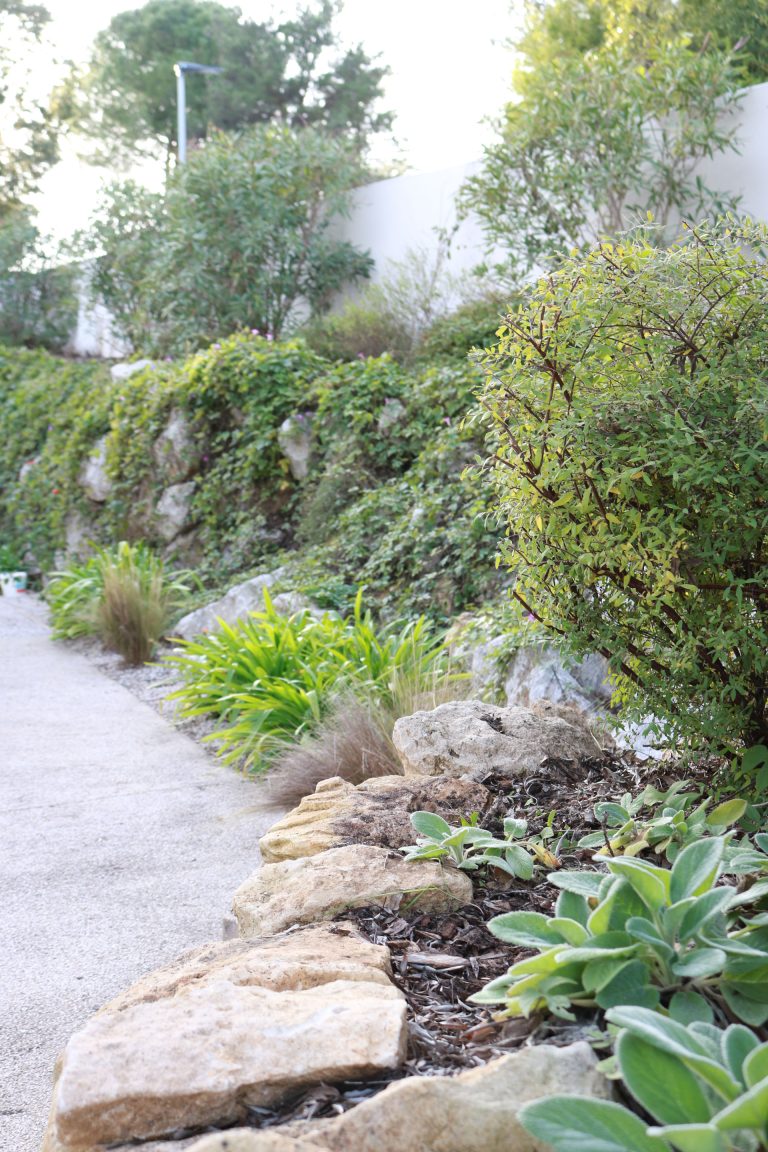 L’Entretien du Jardin en Hiver dans le Sud de la France