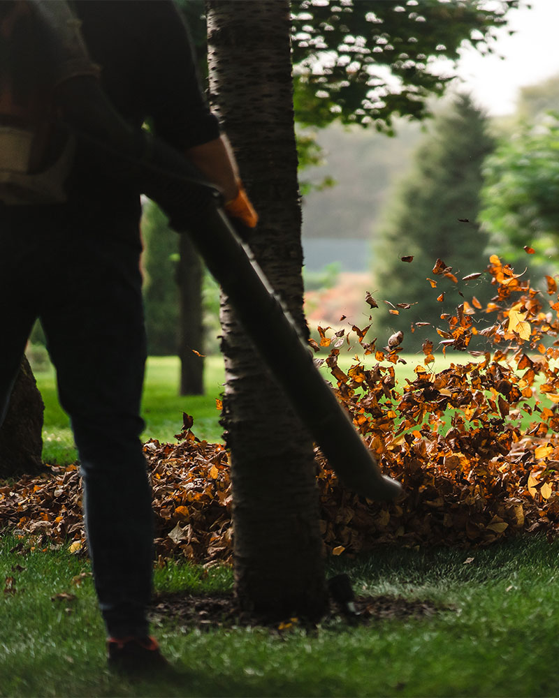 Crédit d’Impôt Jardinage à Montpellier