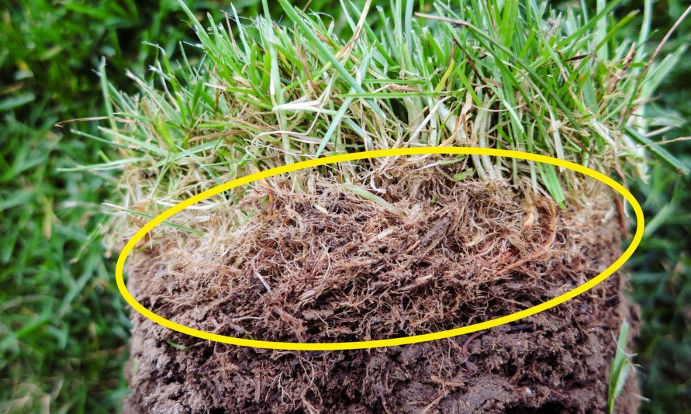 scarification gazon Montpellier