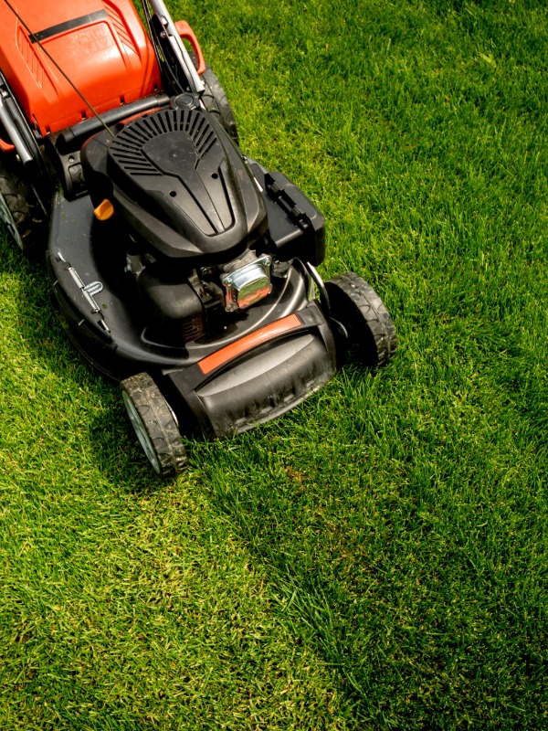 scarification gazon Montpellier