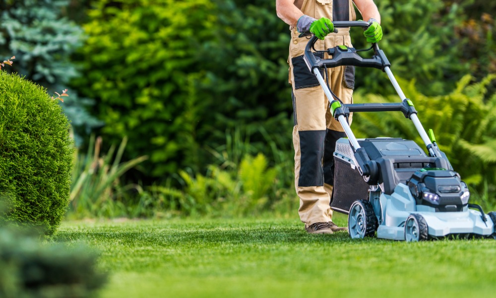 scarification gazon Montpellier